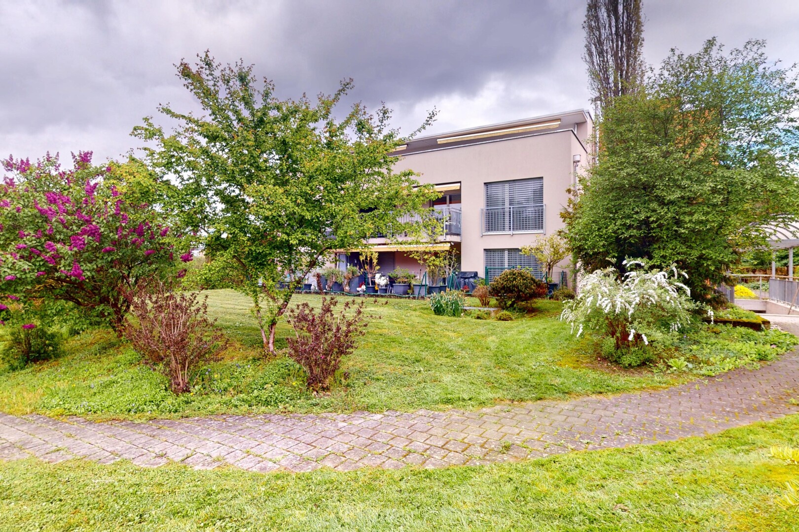 jardin avec pelouse