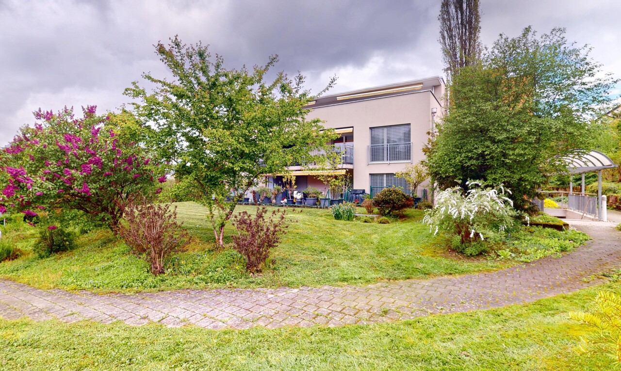jardin avec pelouse