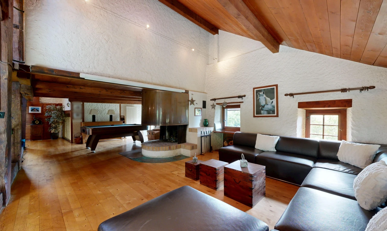 salon avec high end ceiling, wood ceiling, plafond en bois, vaulted ceiling, et plafond voûté