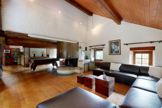 salon avec high end ceiling, wood ceiling, plafond en bois, vaulted ceiling, et plafond voûté