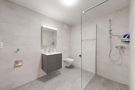 salle de bains avec miroir, toilettes, douche, meuble-lavabo, et mur carrelé