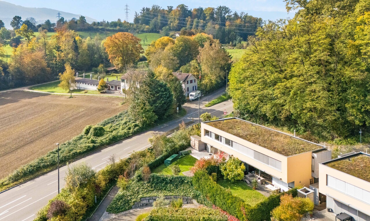 garten mit day time und power lines view