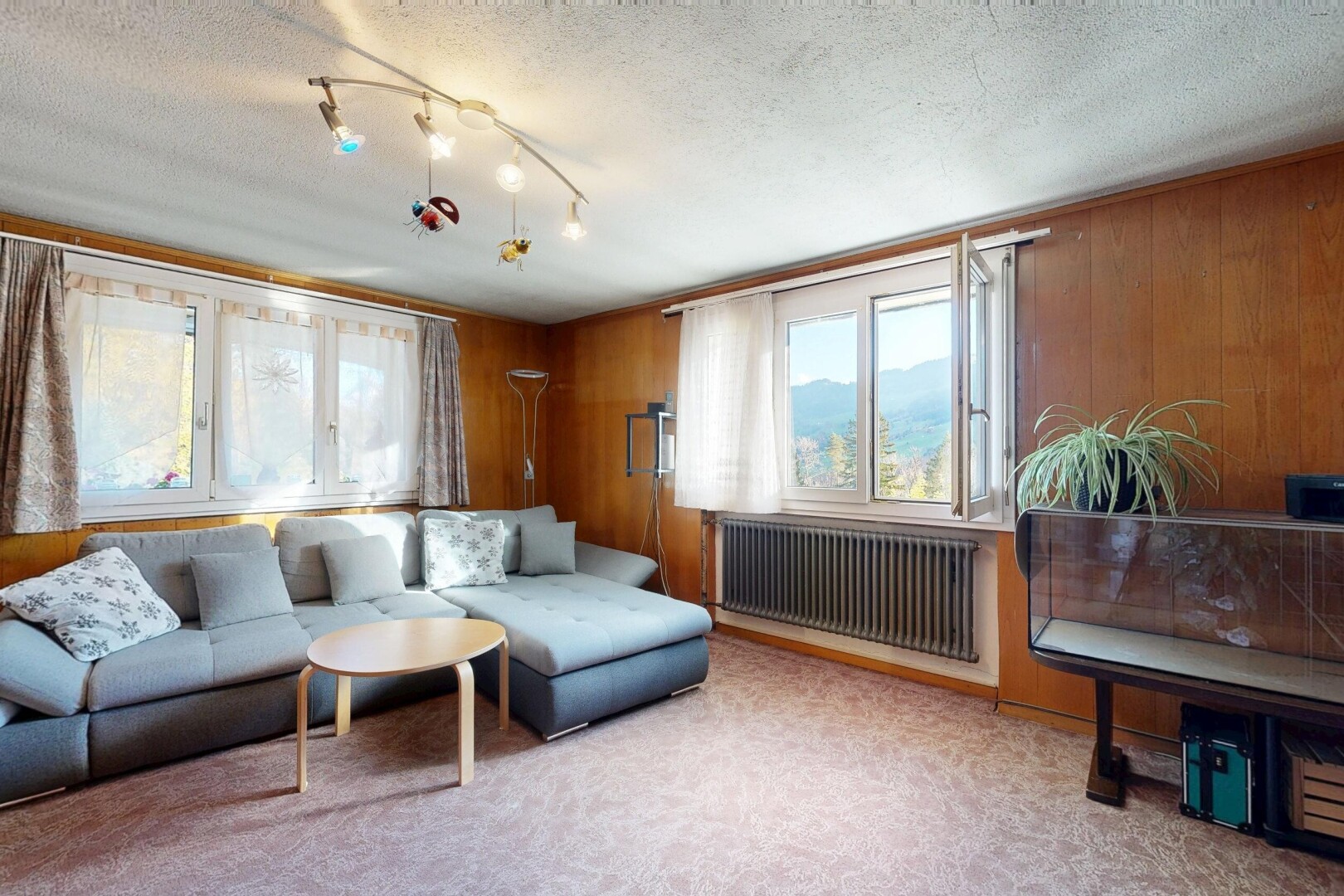salon avec mur en bois, wood wall, radiateur, lumière naturelle, et natural light