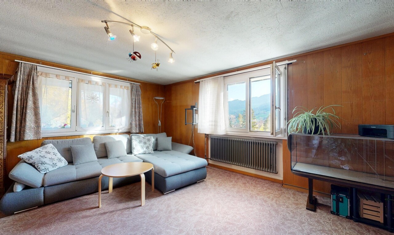 salon avec mur en bois, wood wall, radiateur, lumière naturelle, et natural light