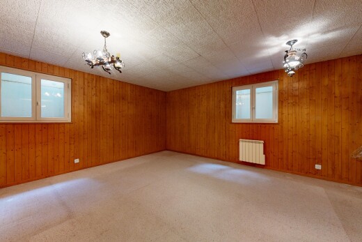 pièce vide avec lustre remarquable, natural light, lumière naturelle, radiateur, et carpet