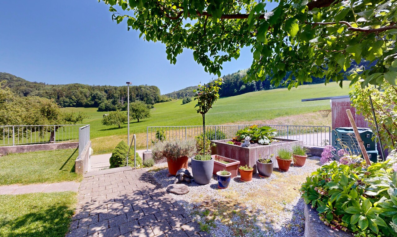garten mit from property, day time, zaun, rasen, und garten
