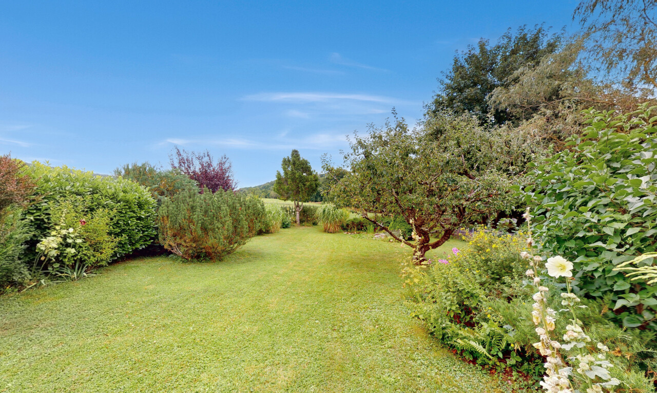 jardin avec pelouse et day time