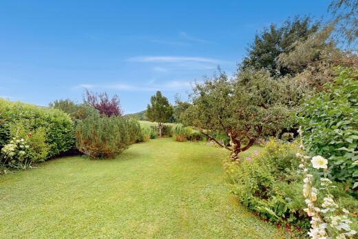 jardin avec pelouse et day time