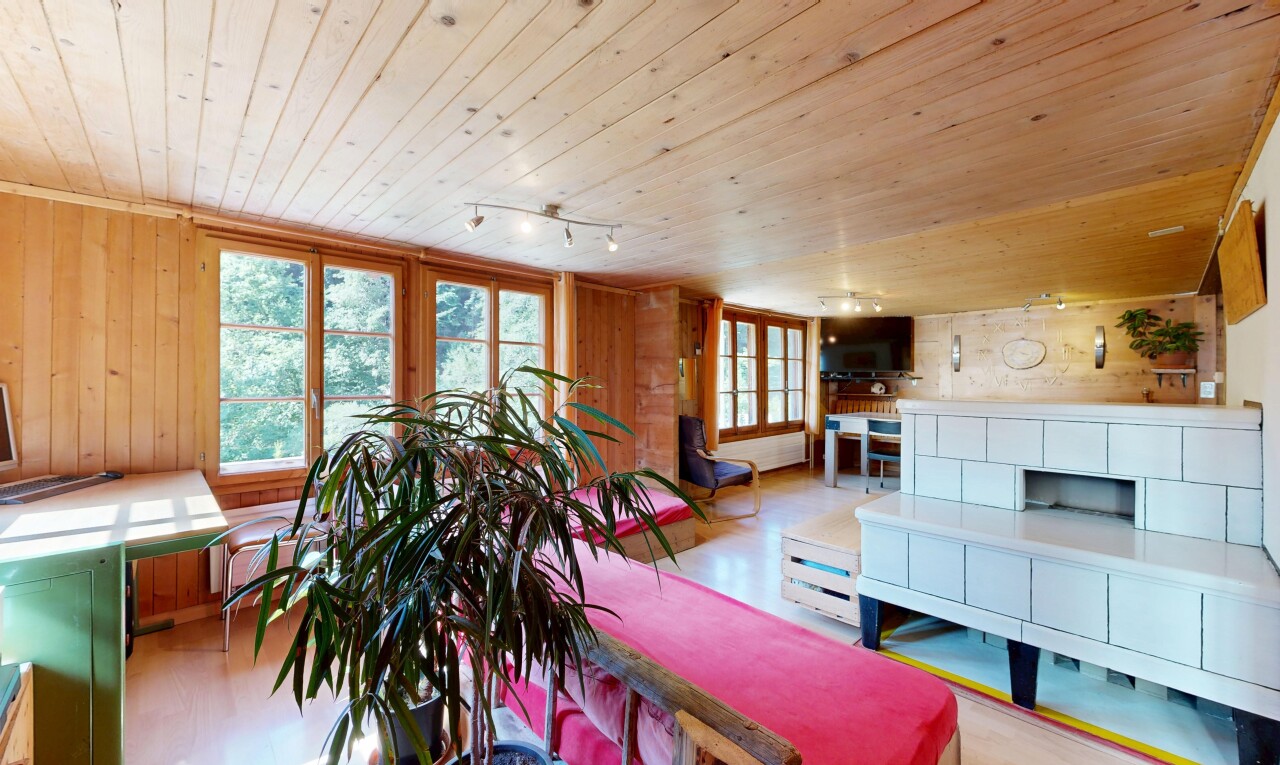 salon / salle à manger avec plafond en bois, wood ceiling, mur en bois, wood wall, et lumière naturelle
