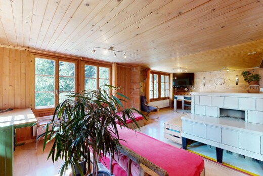 salon / salle à manger avec plafond en bois, wood ceiling, mur en bois, wood wall, et lumière naturelle