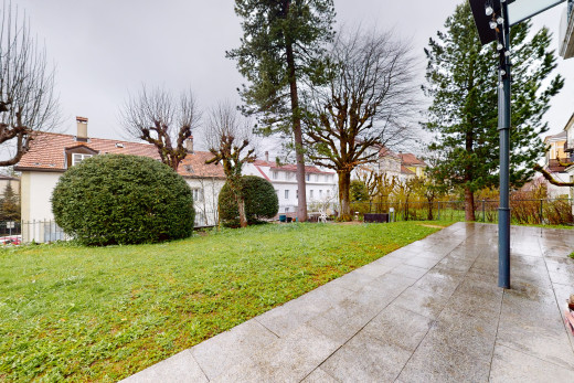 jardin avec pelouse et clôture