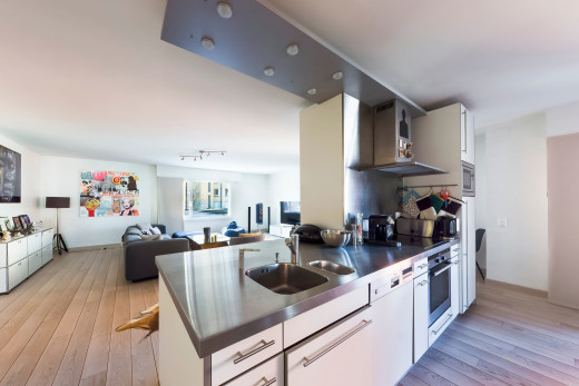 küche mit stainless steel countertops, edelstahl-arbeitsplatten, opens to living area, öffnet sich zum wohnraum, und light floor