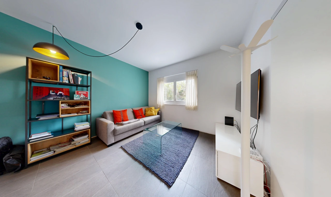 salon avec cloison sèche, drywall, et lumière naturelle