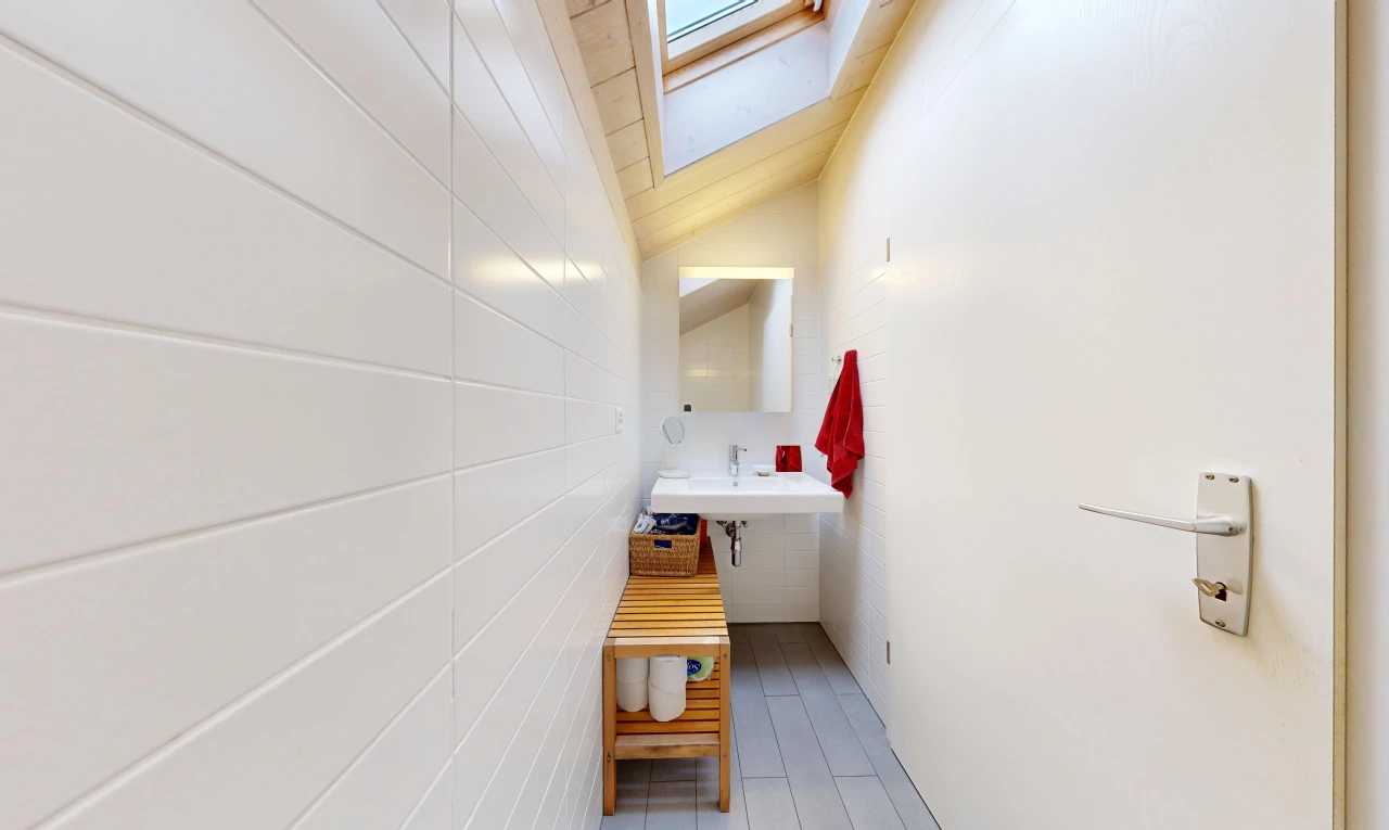 salle de bains avec miroir, puits de lumière, plafond voûté, vaulted ceiling, et évier