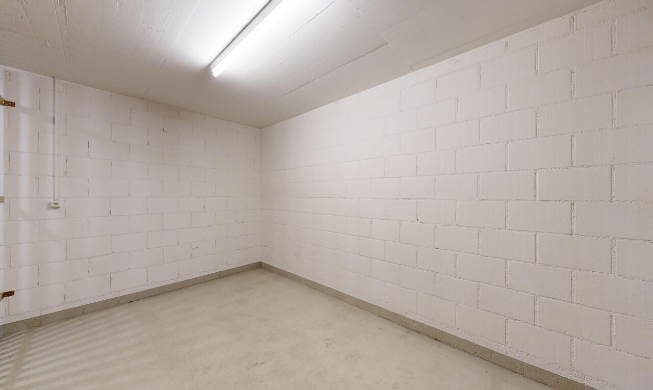 leerer raum mit keller, concrete floor, betonboden, und inside property