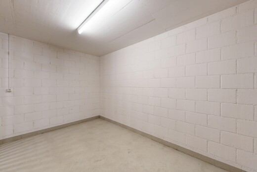 leerer raum mit keller, concrete floor, betonboden, und inside property