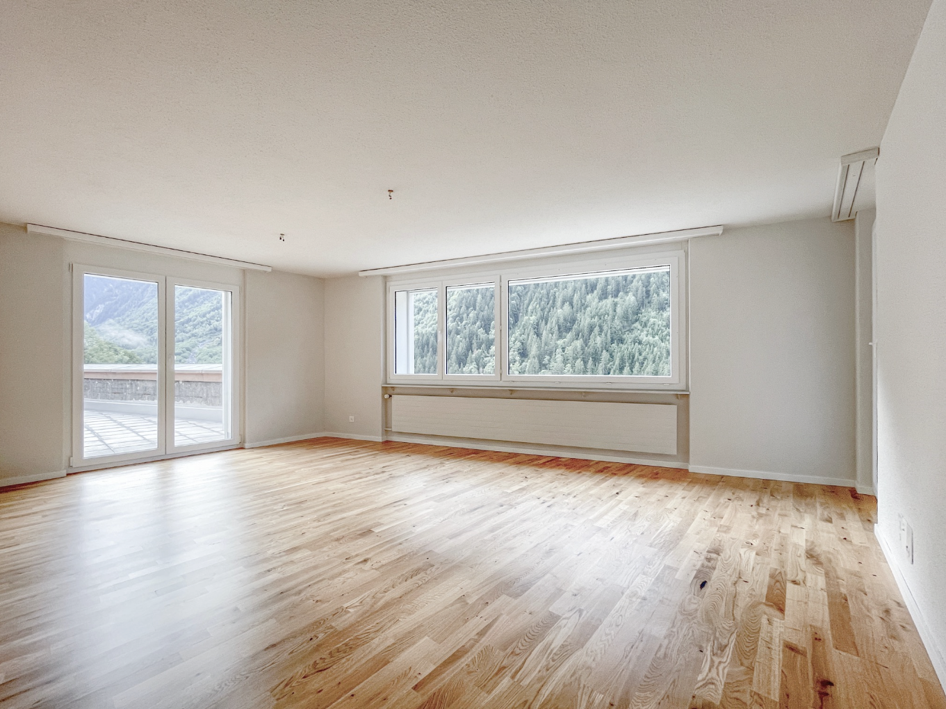 leerer raum mit natürliches licht, natural light, holzfußboden, wood finish floor, und gipskartonwand