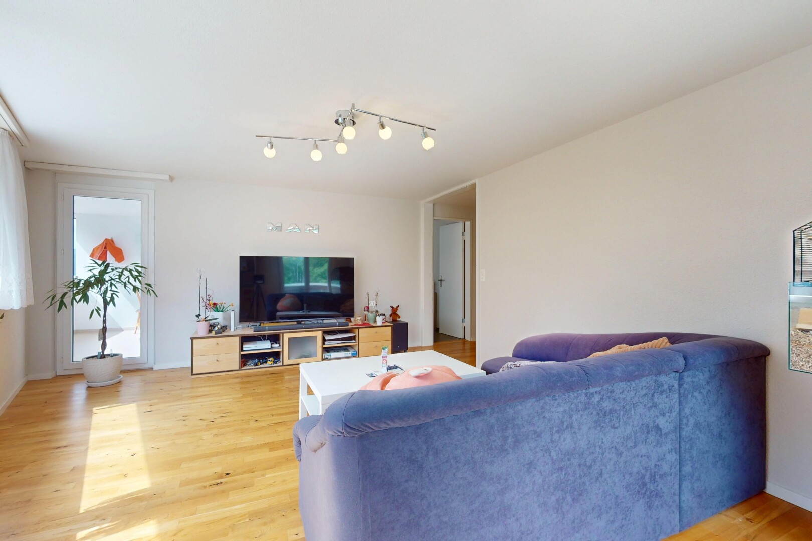 wohnzimmer mit wood finish floor, holzfußboden, fernseher, inside property, und drywall