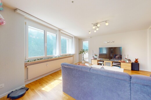 wohnzimmer mit holzfußboden, wood finish floor, natürliches licht, natural light, und fernseher