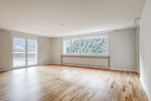 leerer raum mit natürliches licht, natural light, holzfußboden, wood finish floor, und gipskartonwand