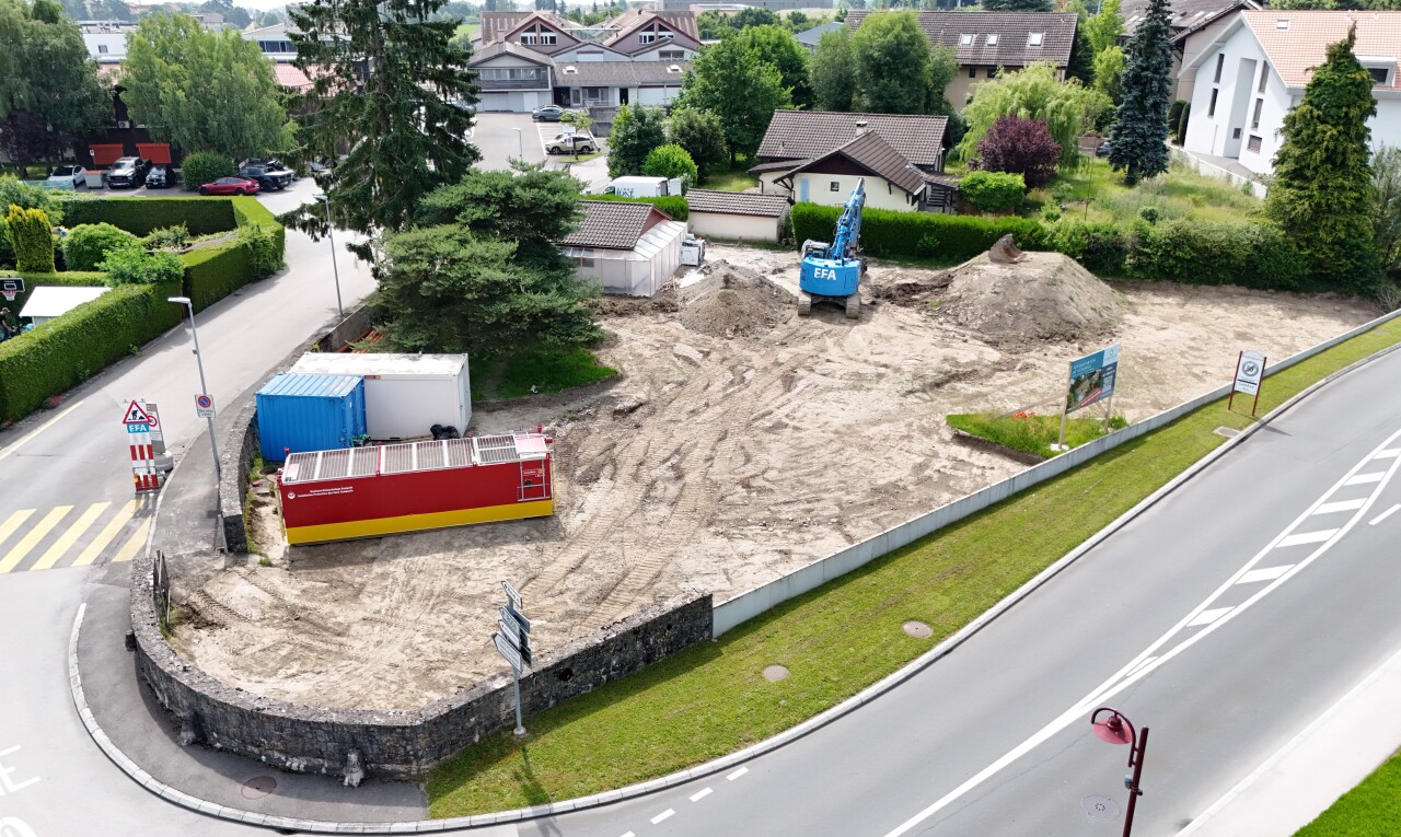 garten mit wohngebietblick, residential view, und drone view
