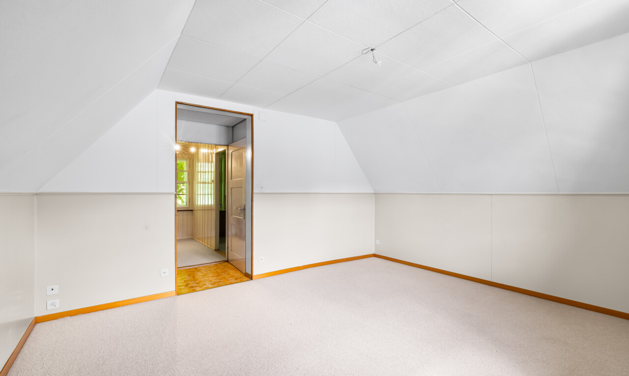 pièce vide avec moquette, carpet, inside property, lumière naturelle, et natural light