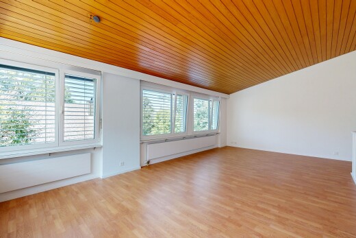 leerer raum mit holzdecke, wood ceiling, holzfußboden, wood finish floor, und gipskartonwand