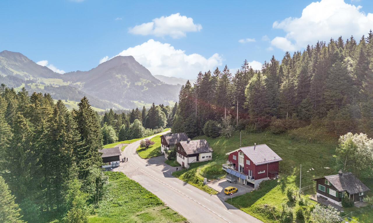 blick auf die berge mit day time, waldblick, forest view, blick auf die berge, und mountain view