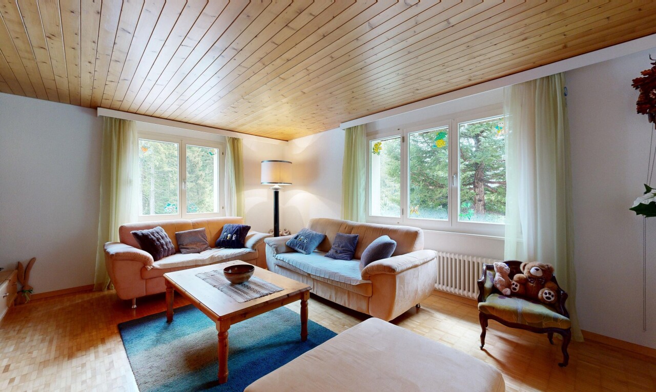 wohnzimmer mit holzdecke, wood ceiling, holzfußboden, wood finish floor, und gipskartonwand