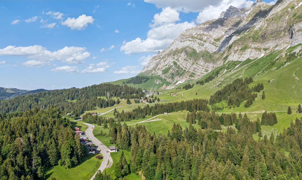 blick auf die berge mit mountain view, blick auf die berge, aerial view, day time, und forest view