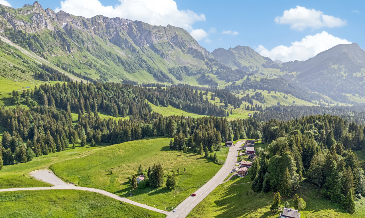 blick auf die berge mit day time, aerial view, mountain view, blick auf die berge, und forest view