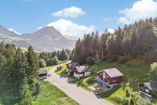blick auf die berge mit day time, waldblick, forest view, blick auf die berge, und mountain view