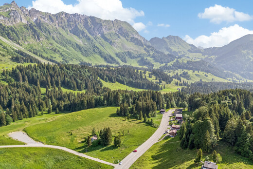blick auf die berge mit day time, aerial view, mountain view, blick auf die berge, und forest view