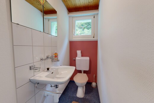 bad mit gäste-wc, spiegel, toilette, holzdecke, und wood ceiling