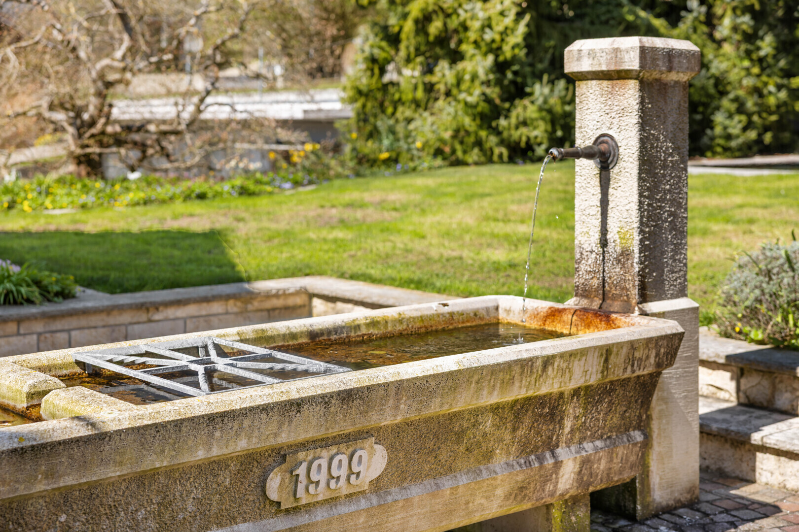 garten mit brunnen und rasen