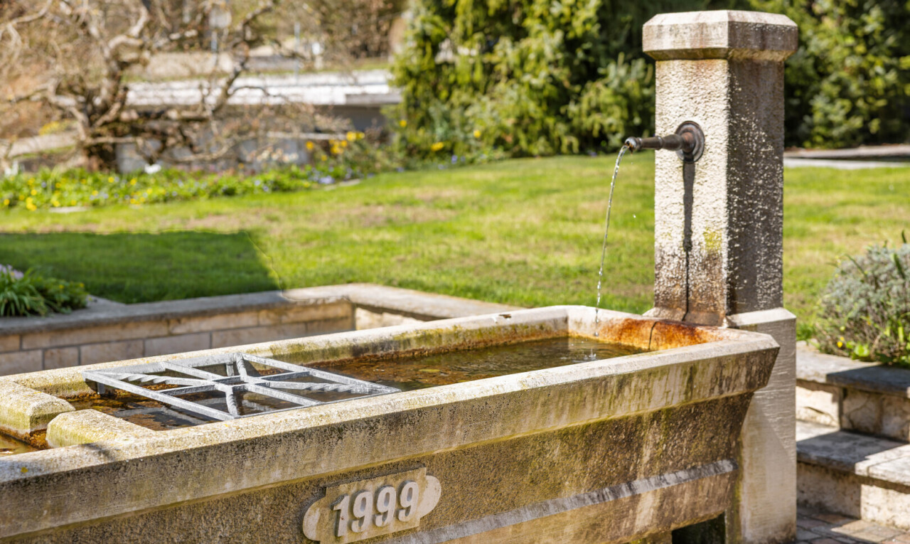 garten mit brunnen und rasen