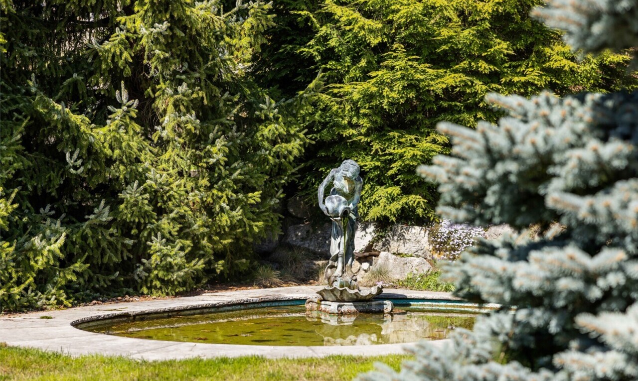 jardin avec piscine