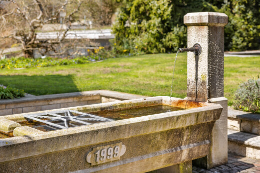 garten mit brunnen und rasen