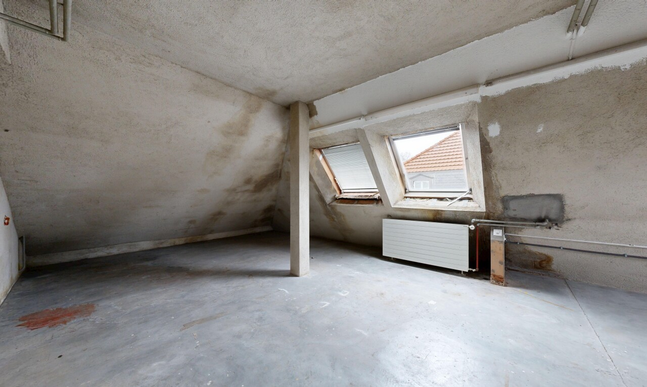 pièce vide avec sol en béton, concrete floor, lumière naturelle, natural light, et plafond bas