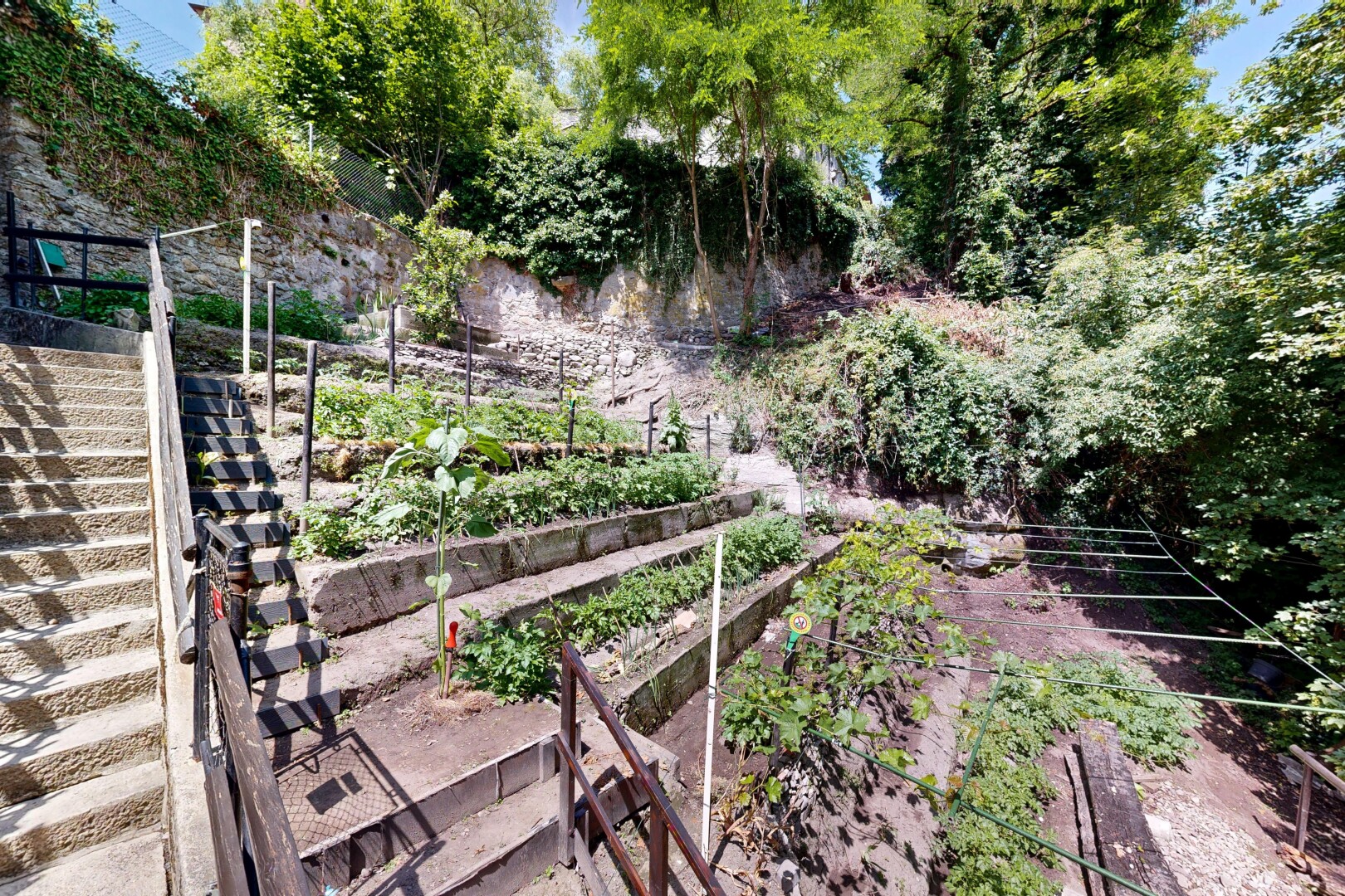 garden featuring a garden
