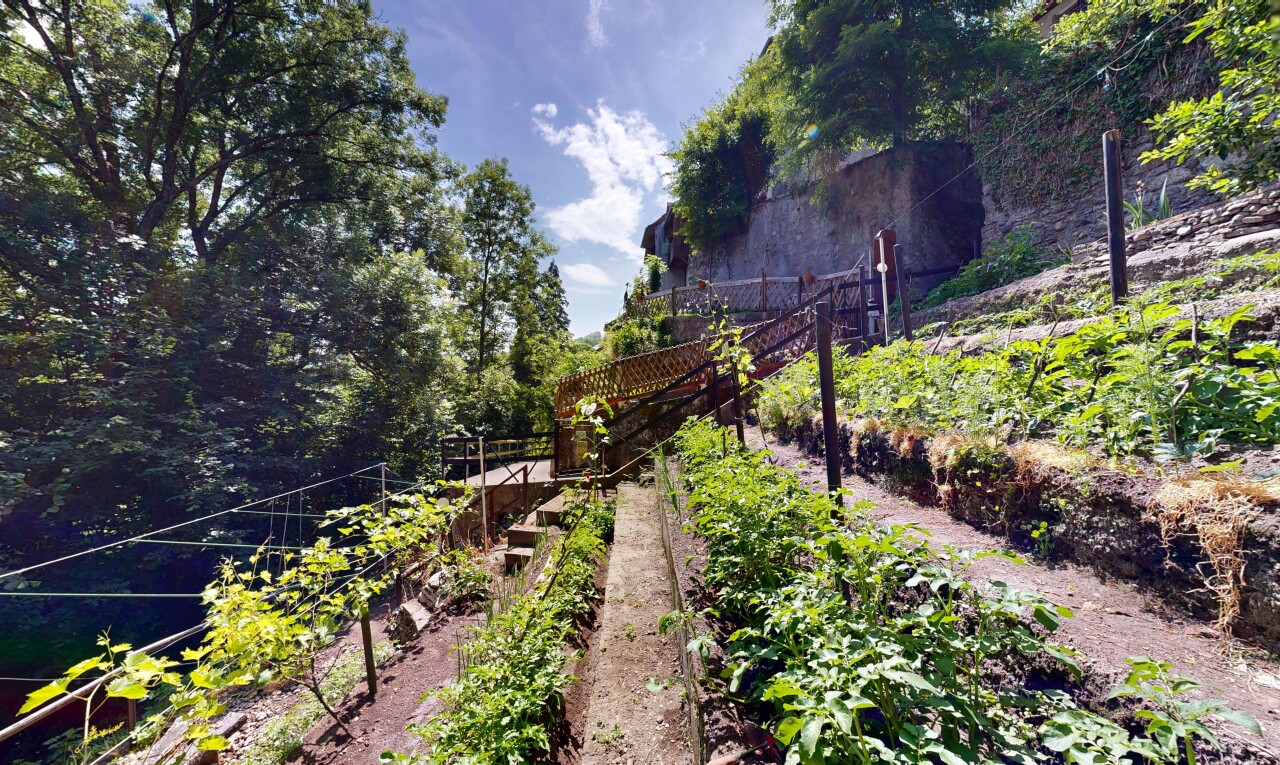 garden with a garden