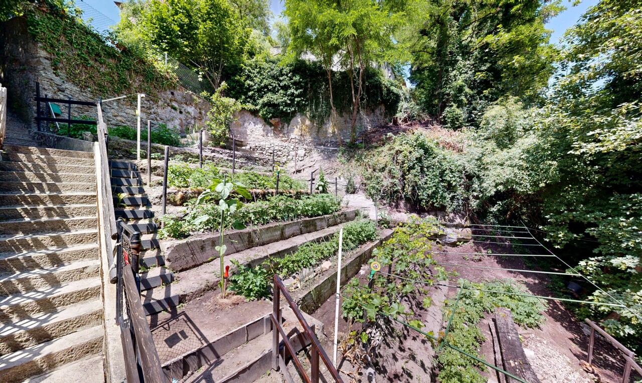 garden featuring a garden