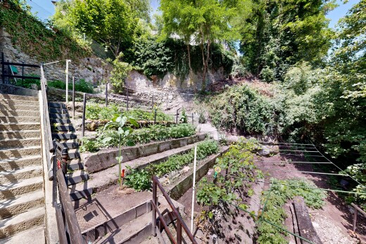 jardin avec jardin