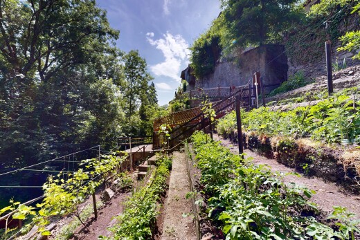 jardin avec jardin