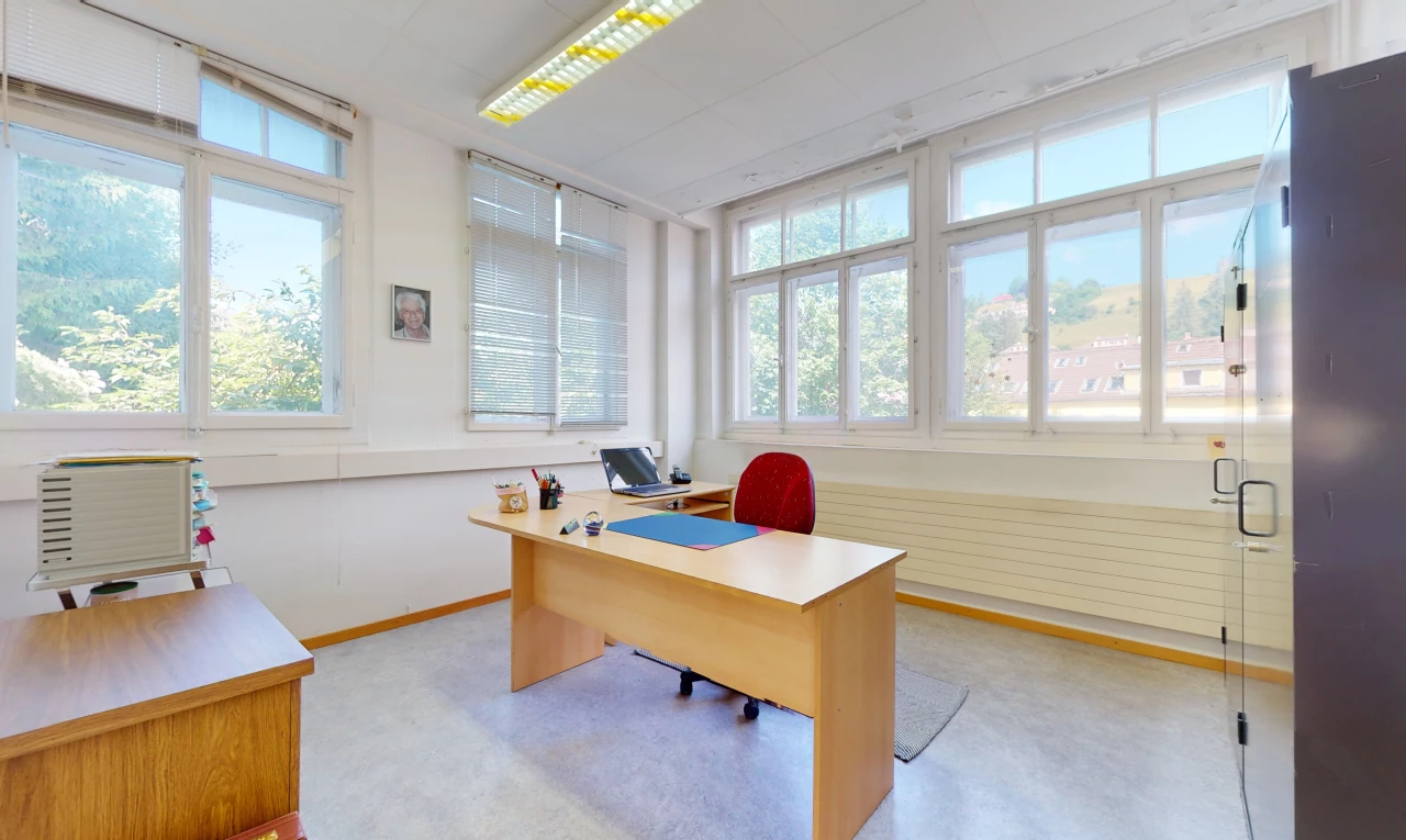 carpeted office featuring natural light