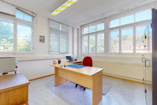 bureau avec lumière naturelle et moquette