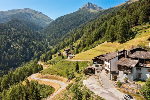 vue sur la montagne avec forest view, vue sur la forêt, mountain view, vue sur la montagne, et day time