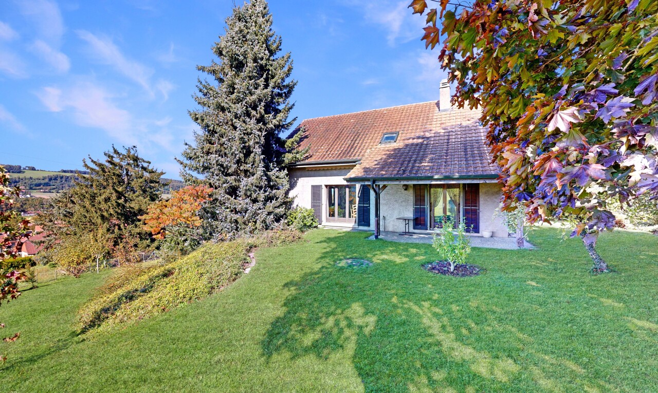 façade avec pelouse, property visible, terrasse, cheminée, et day time