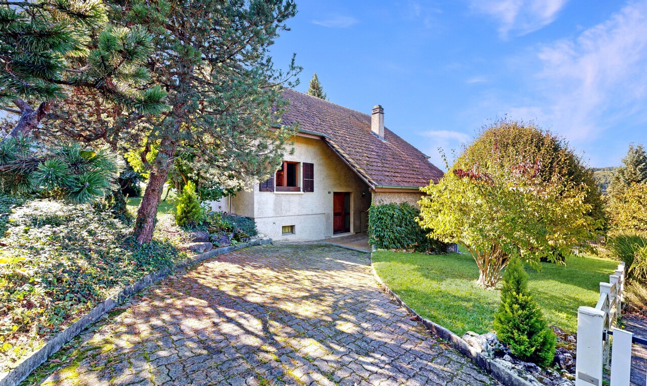 façade avec property visible, pelouse, cheminée, bardage en stuc, et day time