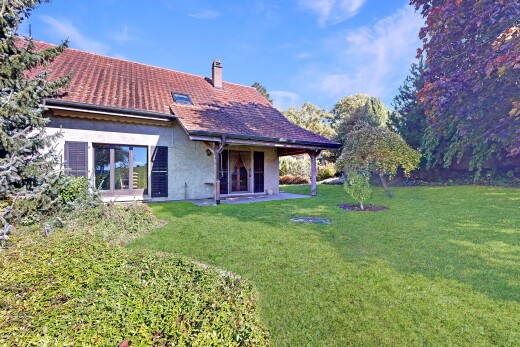 façade avec property visible, terrasse, pelouse, cheminée, et day time